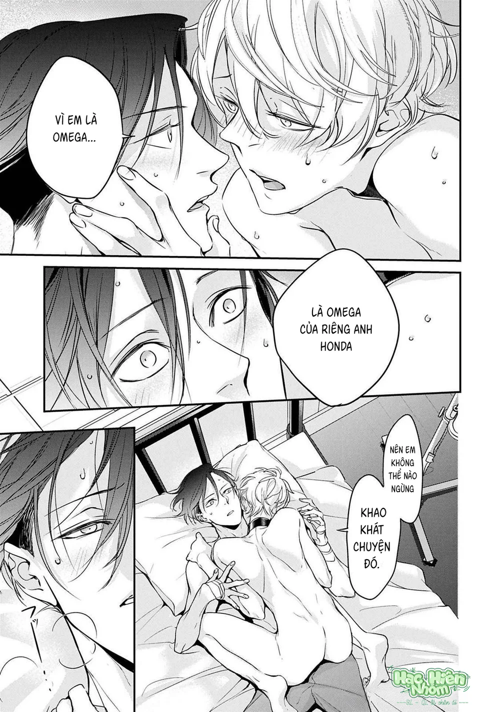 Đọc truyện Omega cuối cùng không thể bị đánh dấu!!! - Chapter 4 Hachiennhom