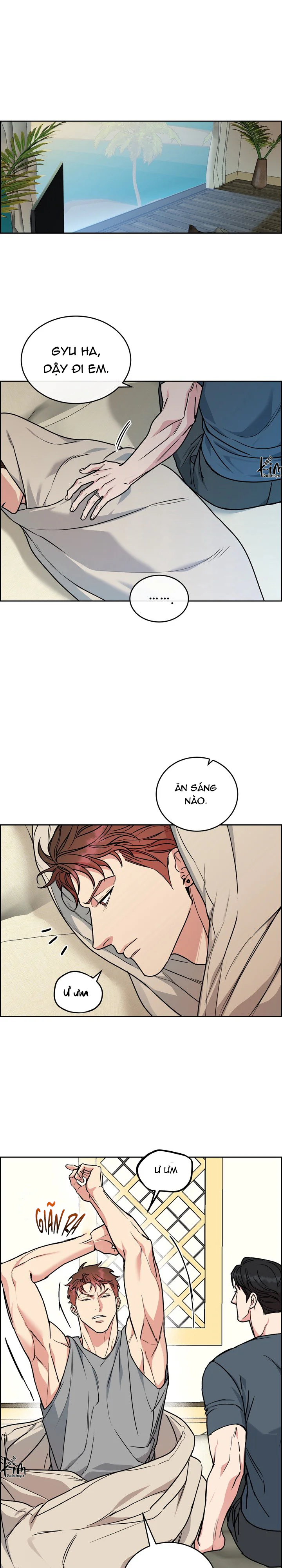 Đọc truyện CHÓ VÀ CHIM - Chapter 62