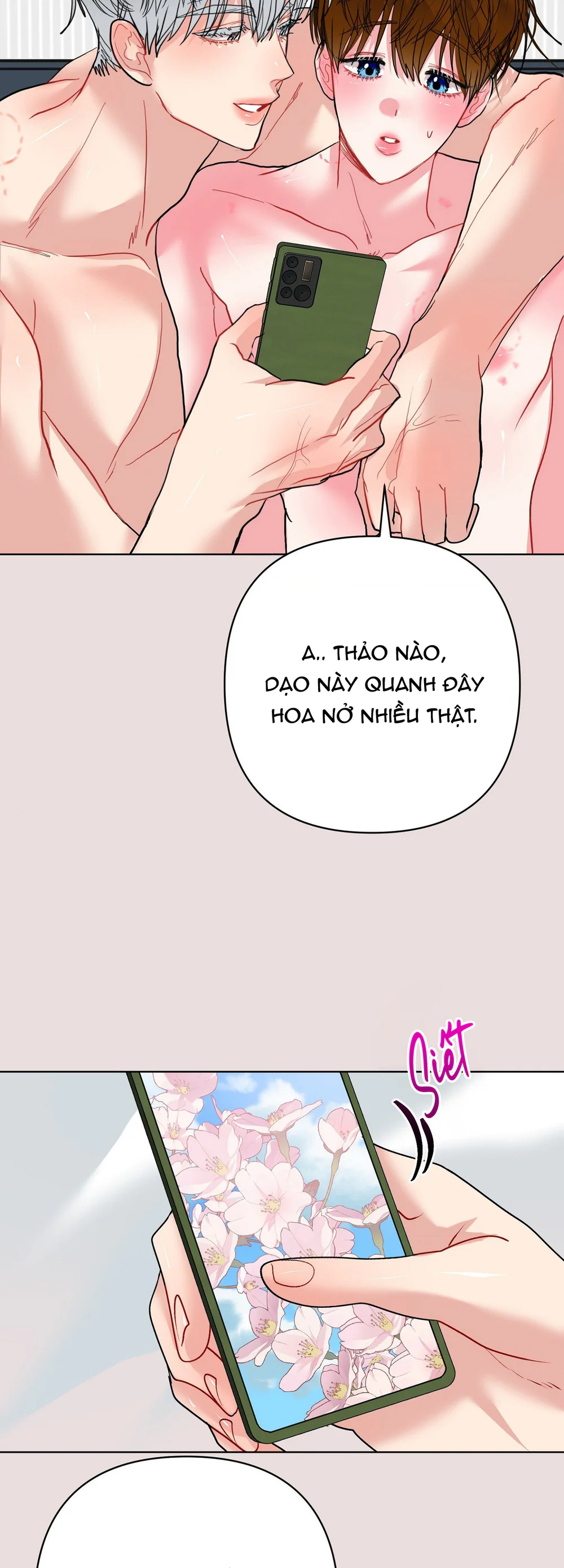 Đọc truyện (ABO) Peppermint Candy - Chapter 21