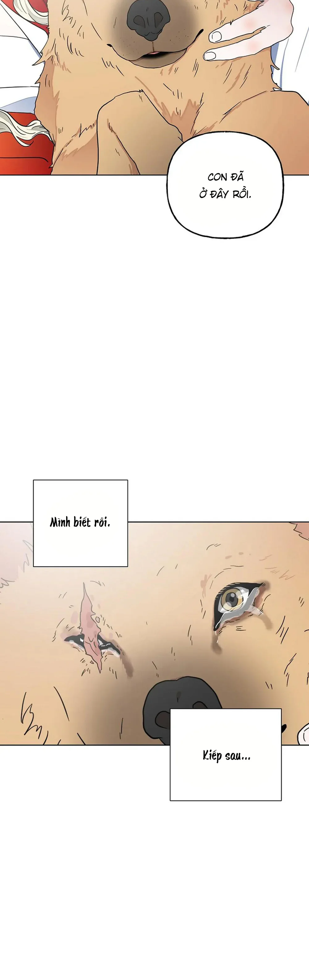 Đọc truyện Kẻ Trộm Hồ Tiên - Chapter 56