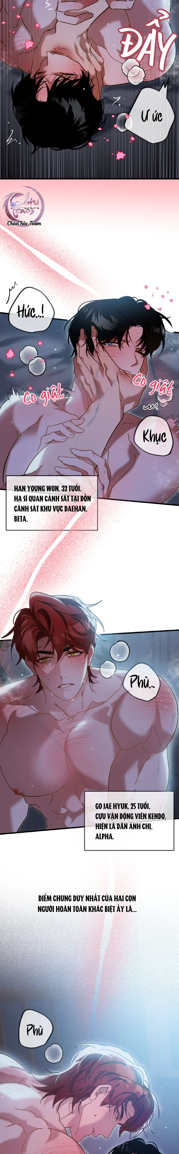 Đọc truyện ACCIDENT ZONE - Chapter 1