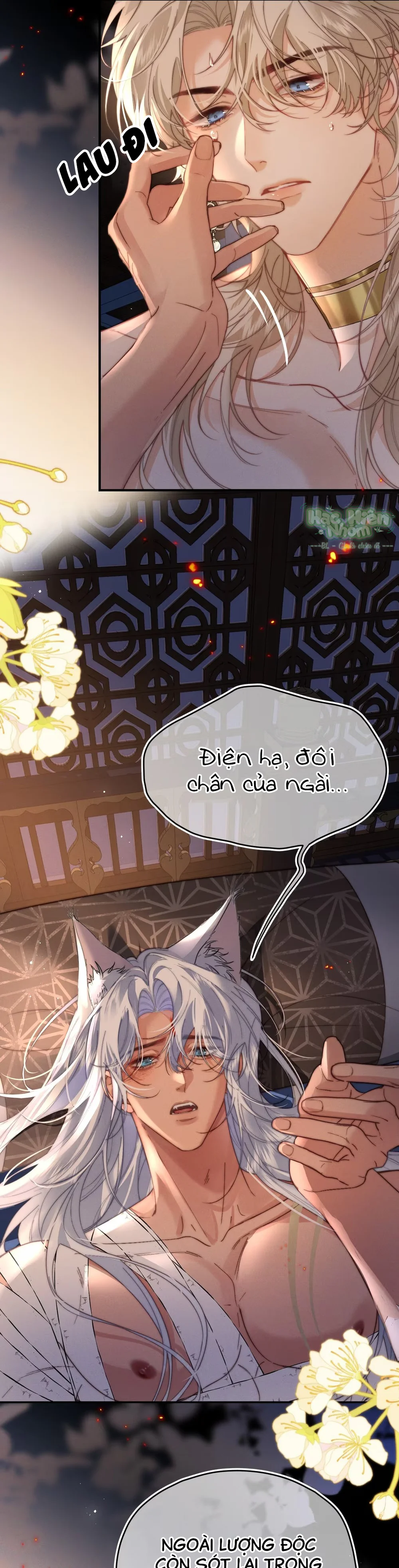 Đọc truyện Dẫn Đạo Liệp Bắt - Chapter 7 Hachiennhom
