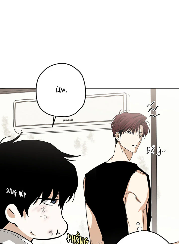 Đọc truyện TƯƠNG XỨNG - Chapter 27