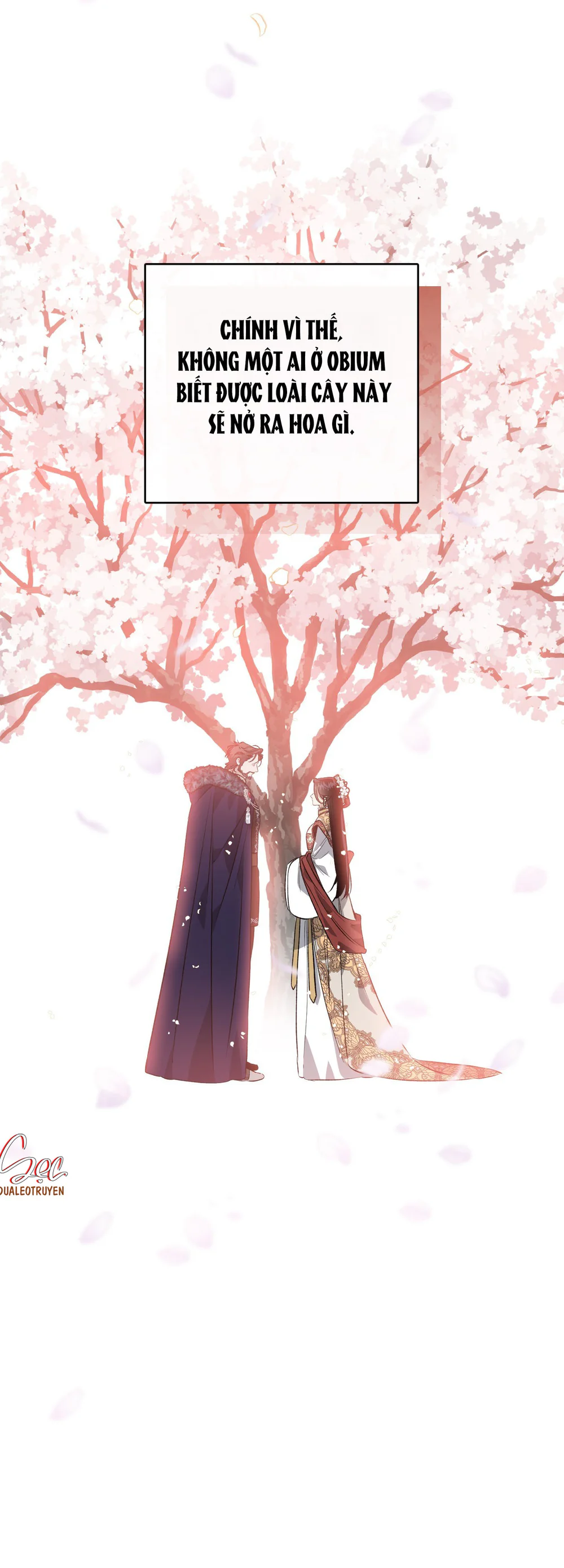 Đọc truyện ĐÓA HOA NỞ TRONG ĐÊM TRẮNG - Chapter 13