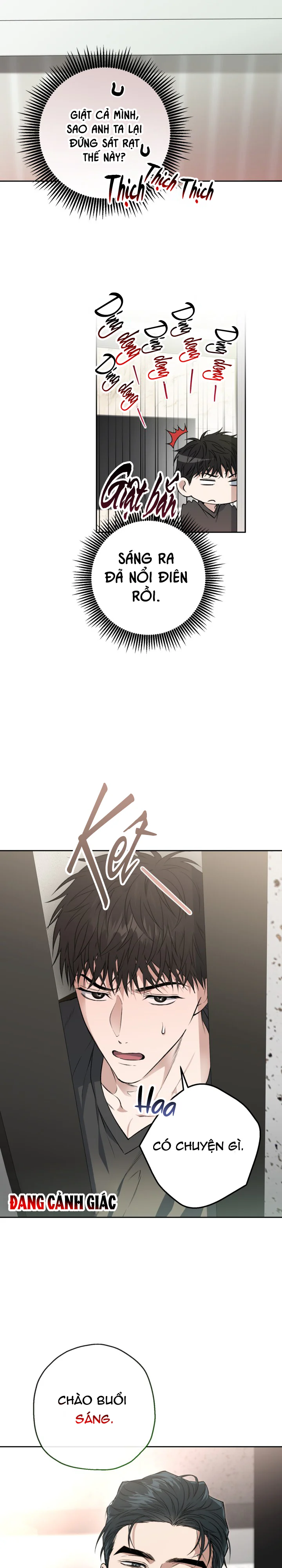 Đọc truyện (ABO) KẺ VÔ LẠI - Chapter 31