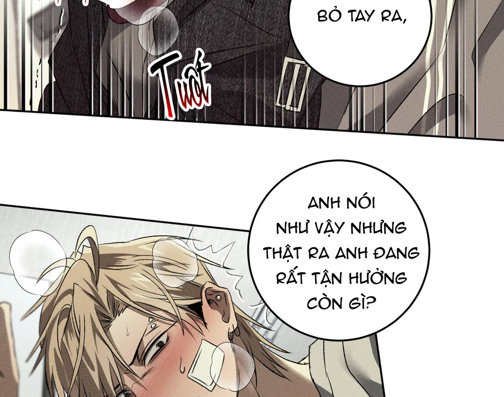 Đọc truyện ANH EM TƯƠNG TÀN - Chapter 11