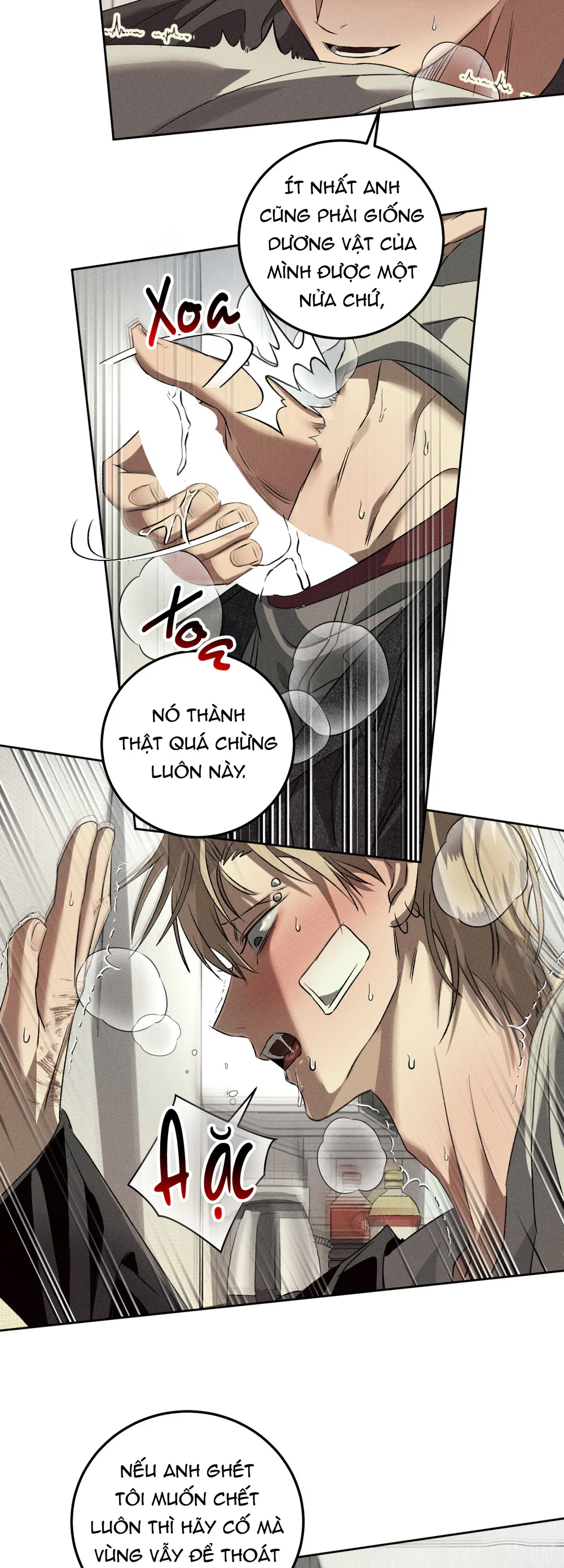 Đọc truyện ANH EM TƯƠNG TÀN - Chapter 11