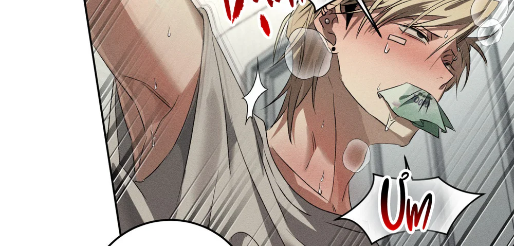Đọc truyện ANH EM TƯƠNG TÀN - Chapter 11