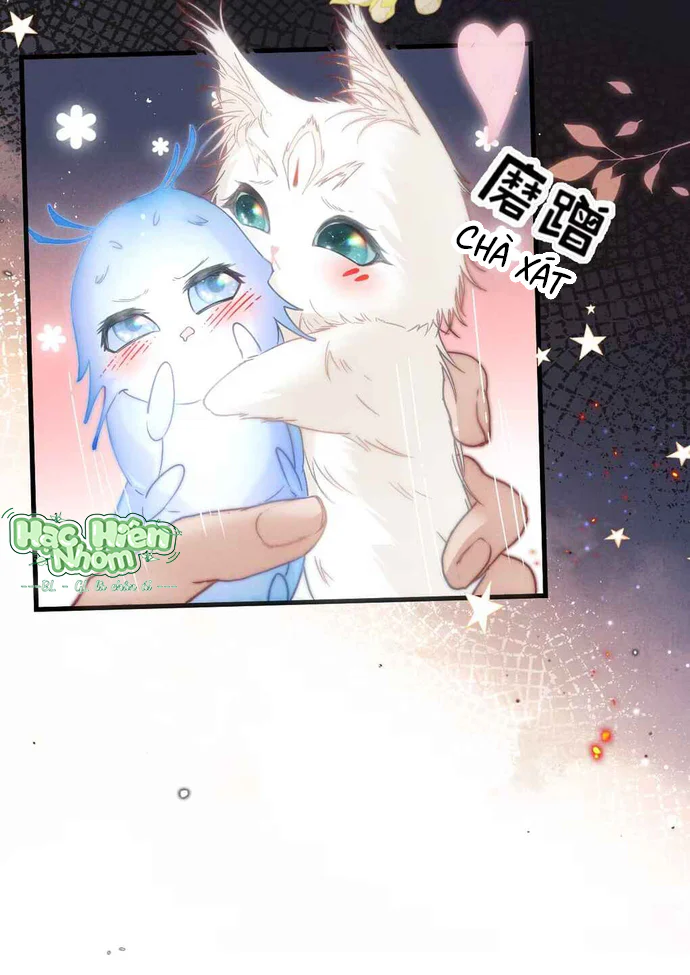 Đọc truyện Dẫn Đạo Liệp Bắt - Chapter 8