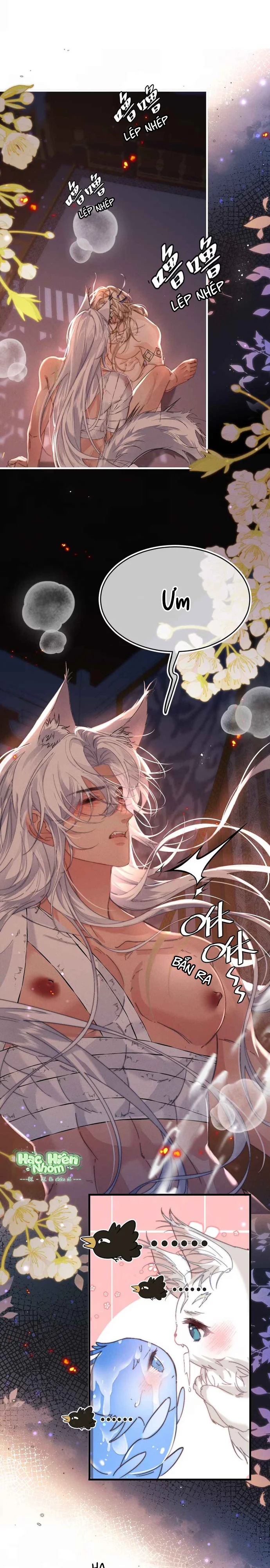 Đọc truyện Dẫn Đạo Liệp Bắt - Chapter 8