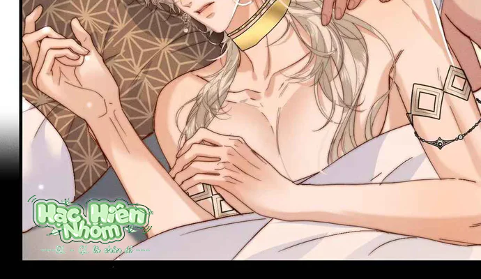 Đọc truyện Dẫn Đạo Liệp Bắt - Chapter 8