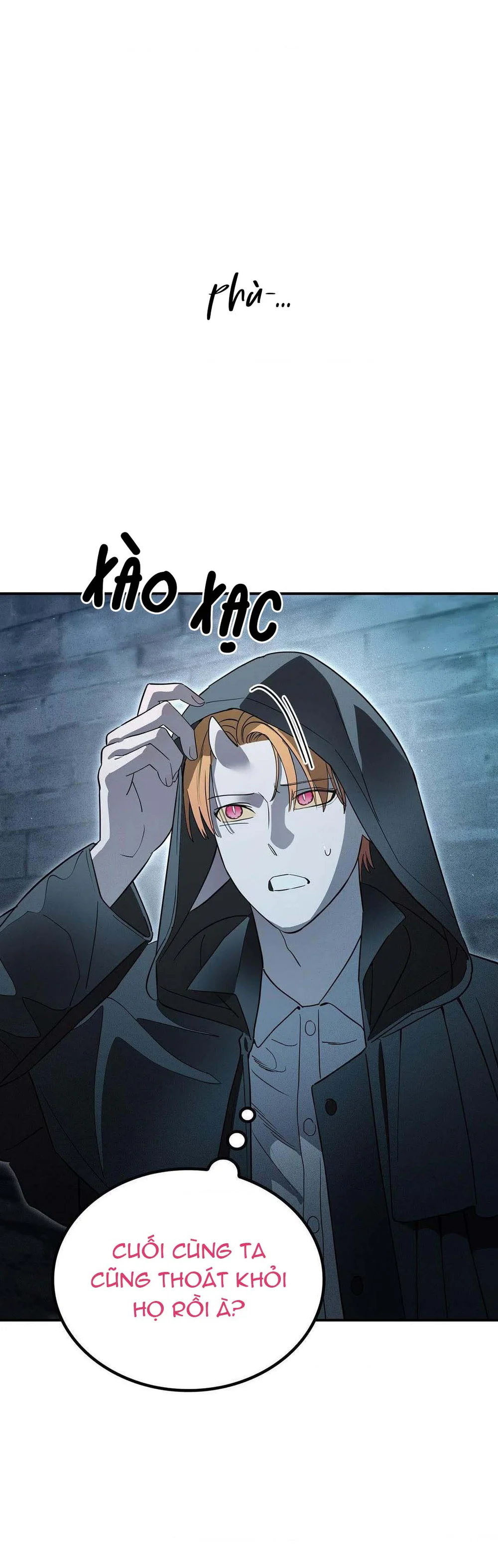 Đọc truyện Nguyện Ở Lại Trong Bóng Tối - Chapter 4