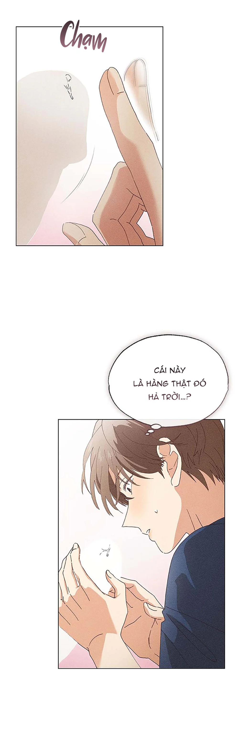 Đọc truyện Anh Trai Trên Ruộng Ớt - Chapter 4