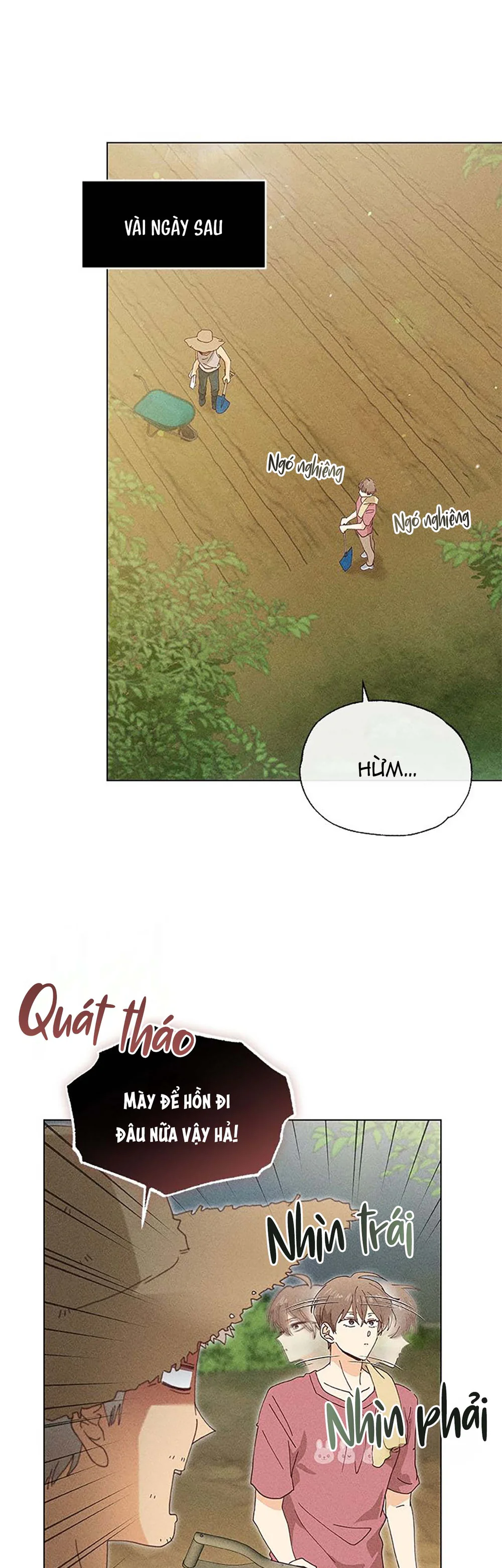 Đọc truyện Anh Trai Trên Ruộng Ớt - Chapter 4