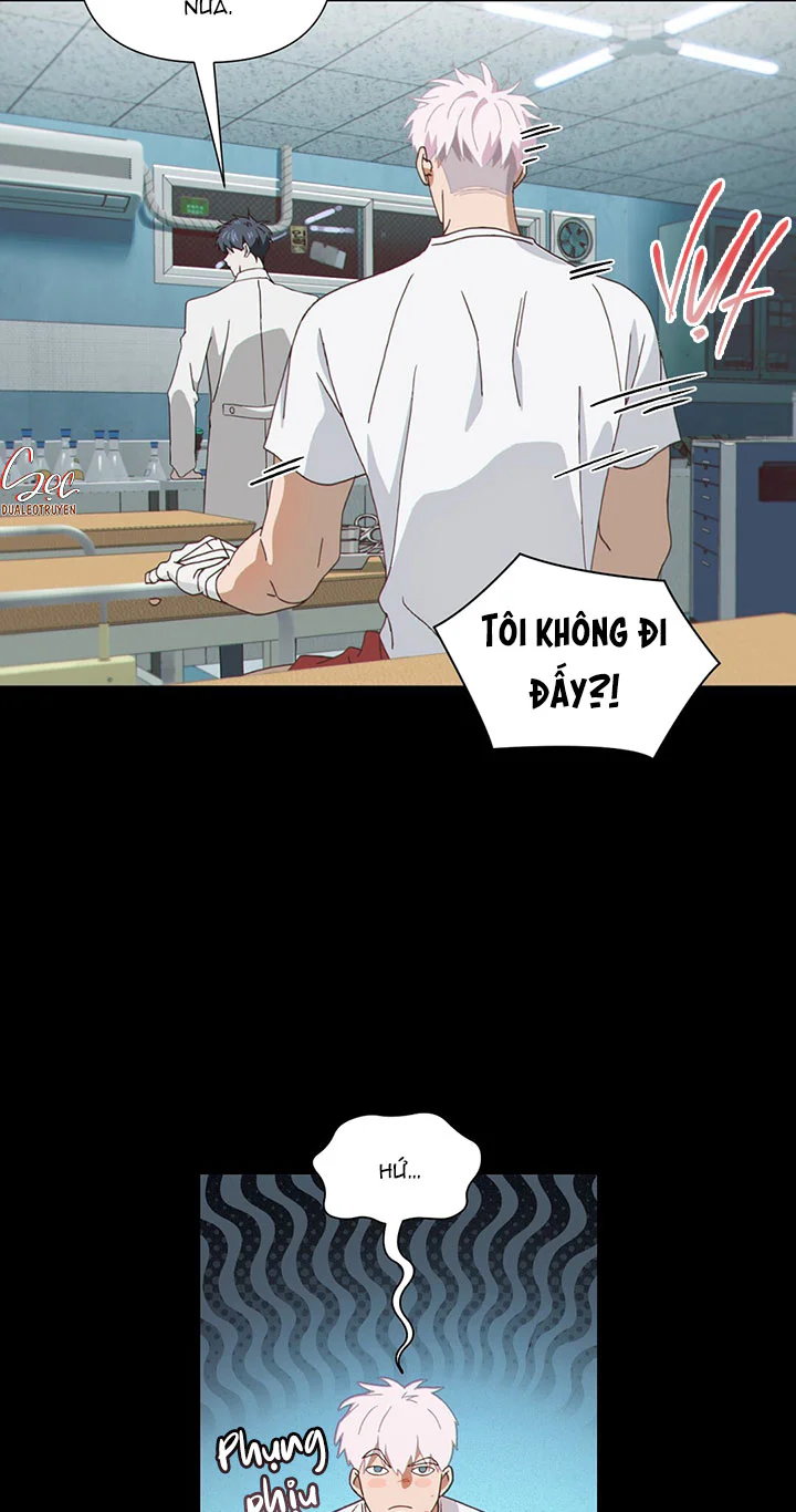 Đọc truyện MIGNON - Chapter 1 ngang raw