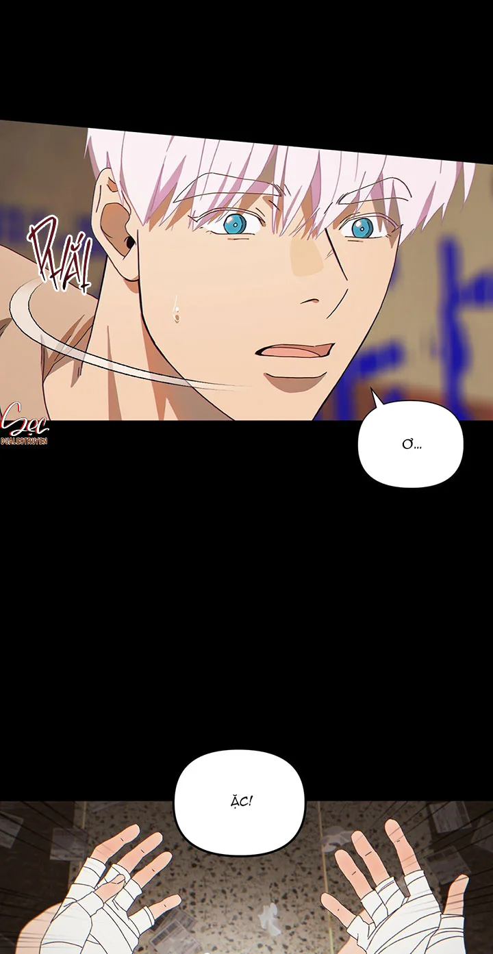 Đọc truyện MIGNON - Chapter 1 ngang raw
