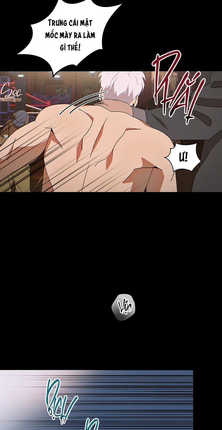Đọc truyện MIGNON - Chapter 1 ngang raw