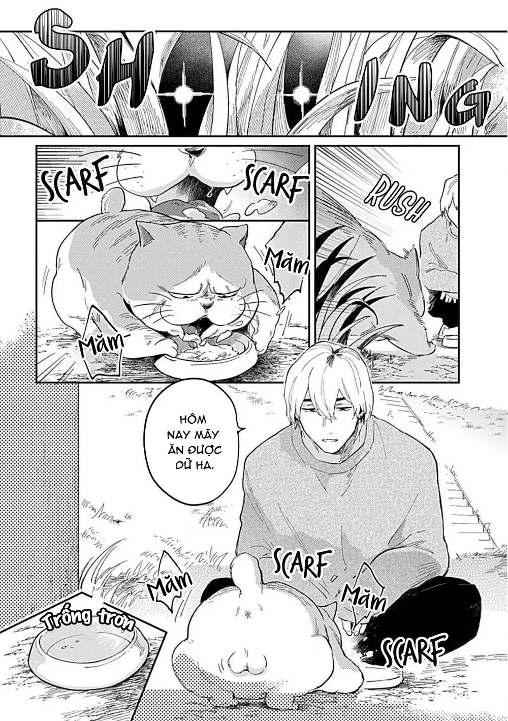 Đọc truyện Cuộc Đại Chiến Romeo Và Juliet Ở Ven Sông - Chapter 1