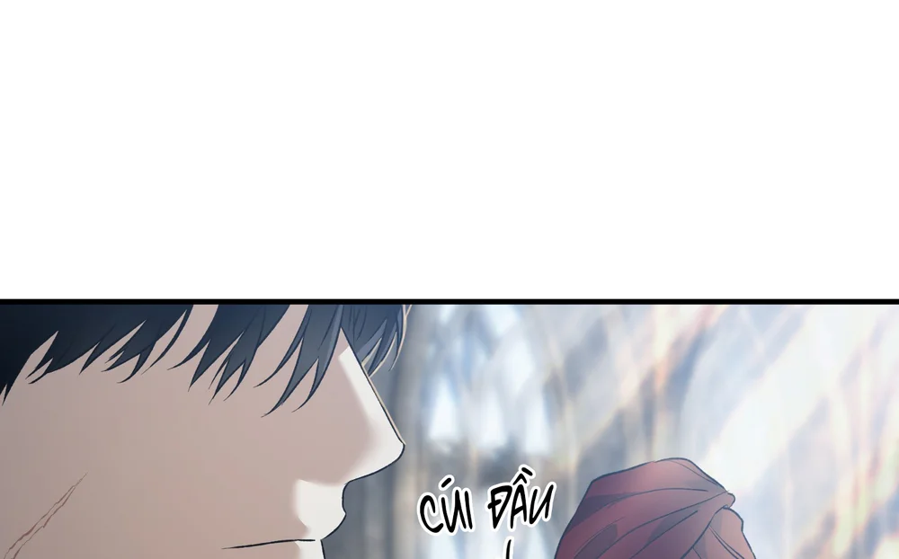 Đọc truyện Con đường hoa trong đêm trắng - Chapter 13