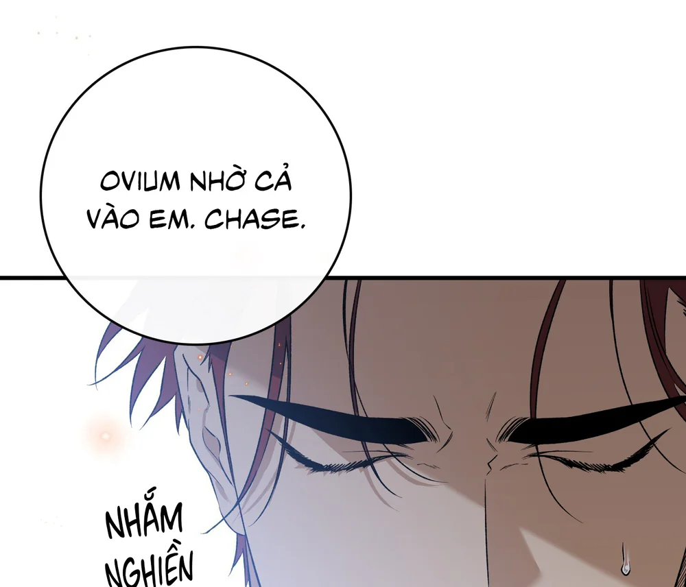 Đọc truyện Con đường hoa trong đêm trắng - Chapter 13