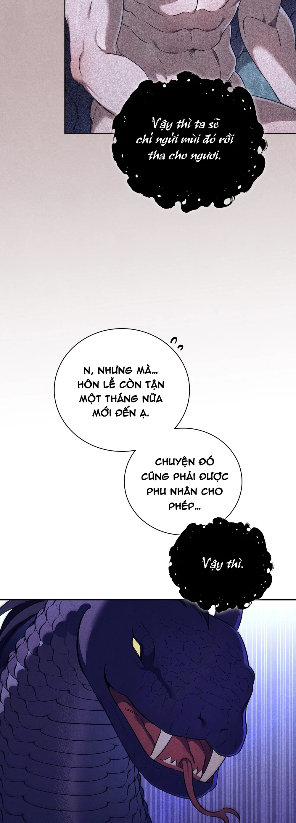 Đọc truyện MÃNG XÀ VÀ CHÀNG TIỀU PHU - Chapter 14