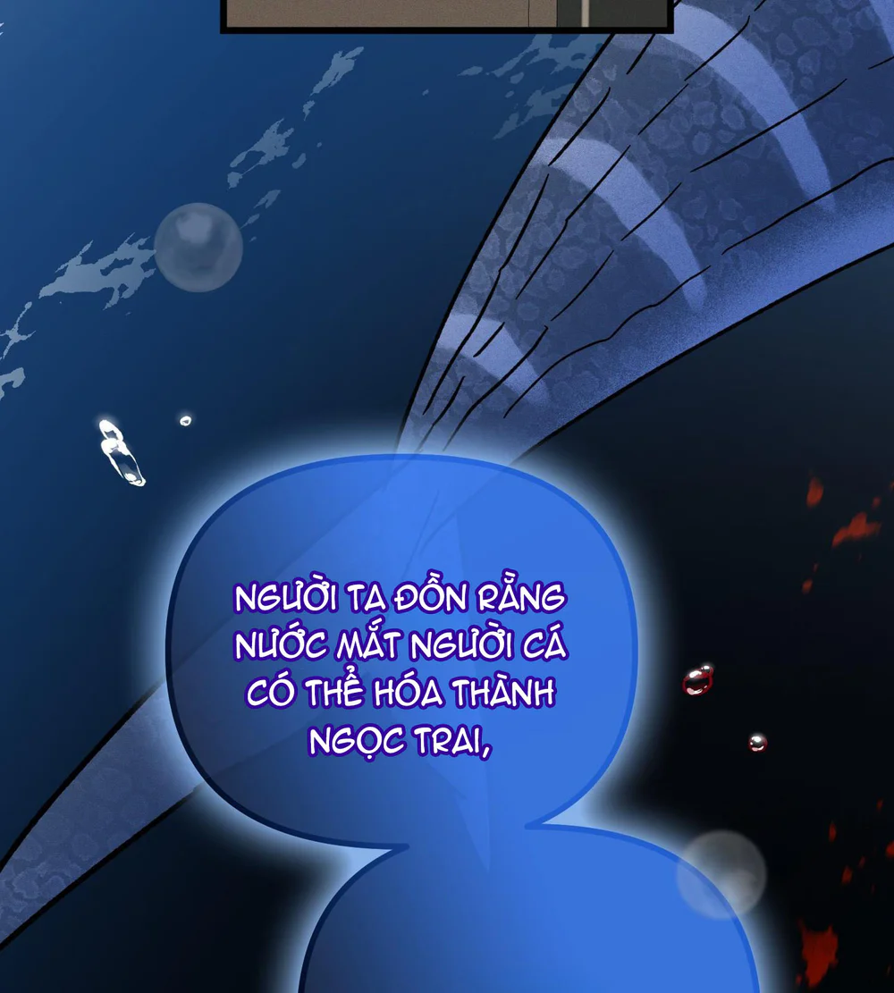 Đọc truyện NÔI NGƯỜI CÁ - Chapter 10