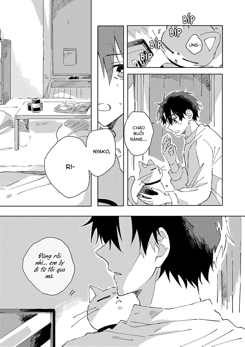 Đọc truyện (END) Nhặt Được Một Em Mèo Và Một Cậu Trai - Chapter 3