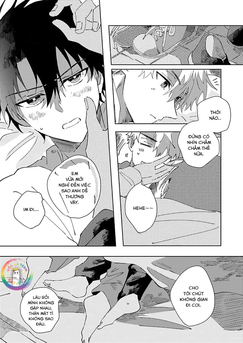 Đọc truyện (END) Nhặt Được Một Em Mèo Và Một Cậu Trai - Chapter 3