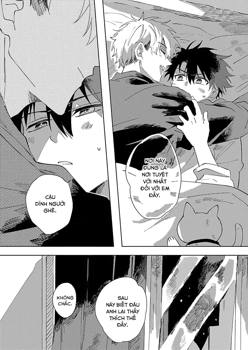 Đọc truyện (END) Nhặt Được Một Em Mèo Và Một Cậu Trai - Chapter 3