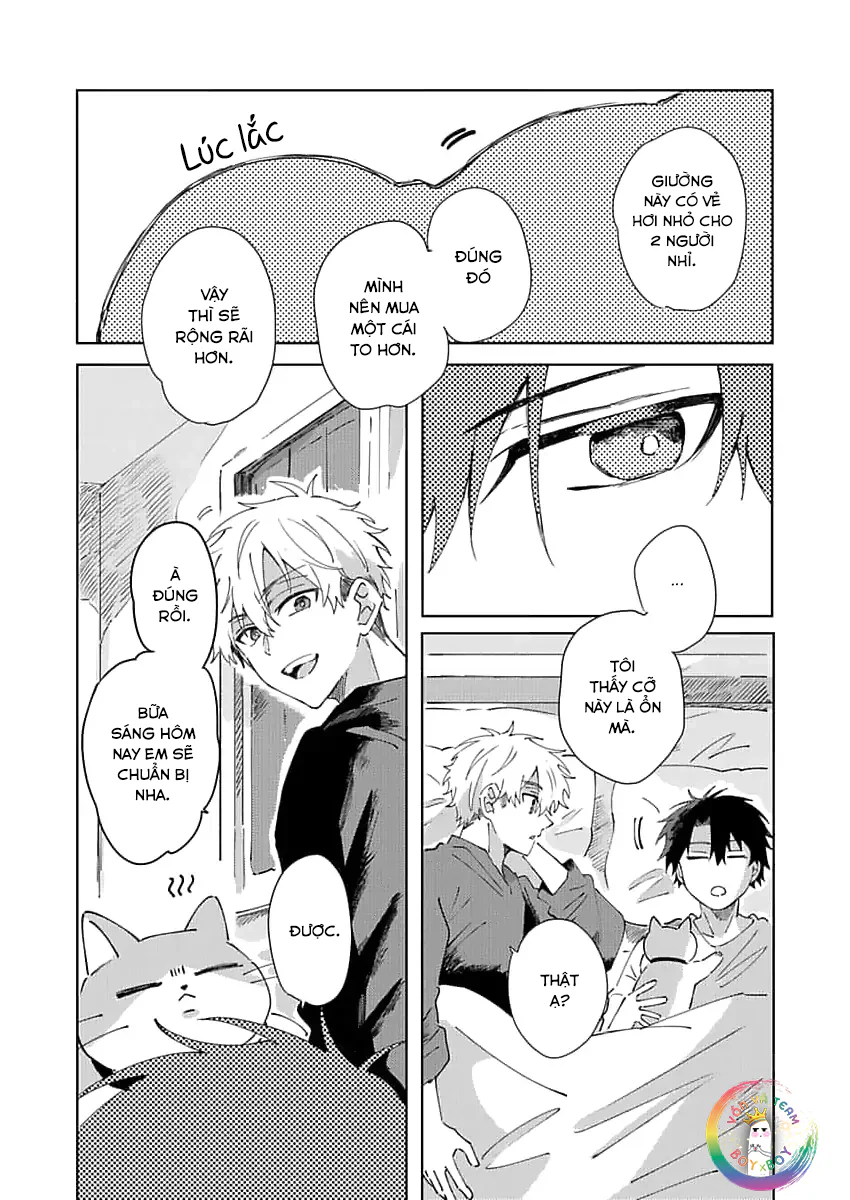Đọc truyện (END) Nhặt Được Một Em Mèo Và Một Cậu Trai - Chapter 3
