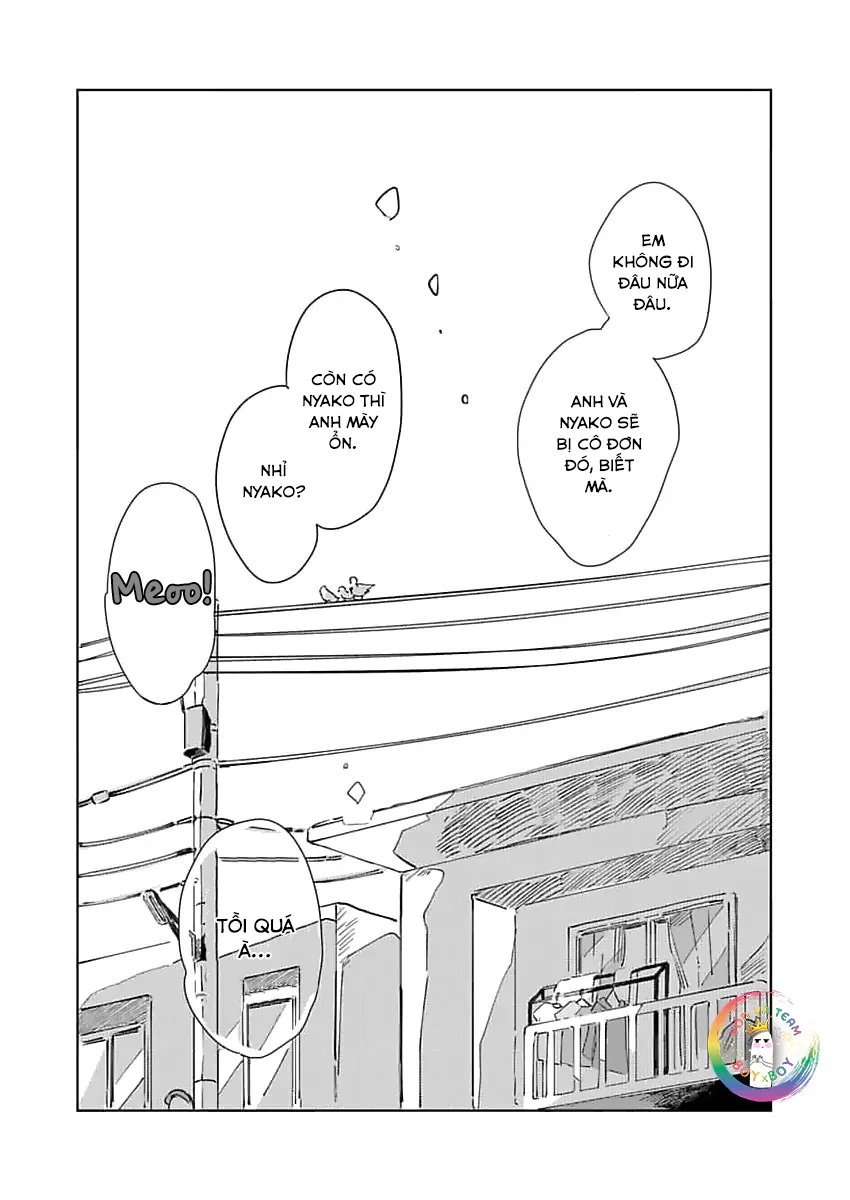 Đọc truyện (END) Nhặt Được Một Em Mèo Và Một Cậu Trai - Chapter 3