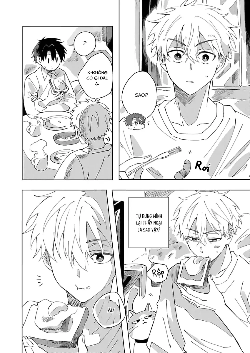 Đọc truyện (END) Nhặt Được Một Em Mèo Và Một Cậu Trai - Chapter 2