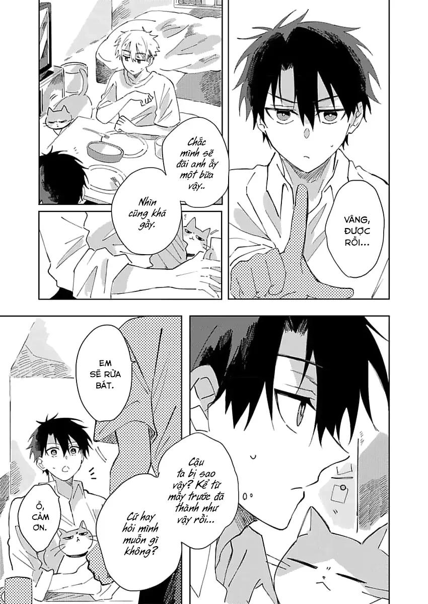 Đọc truyện (END) Nhặt Được Một Em Mèo Và Một Cậu Trai - Chapter 2