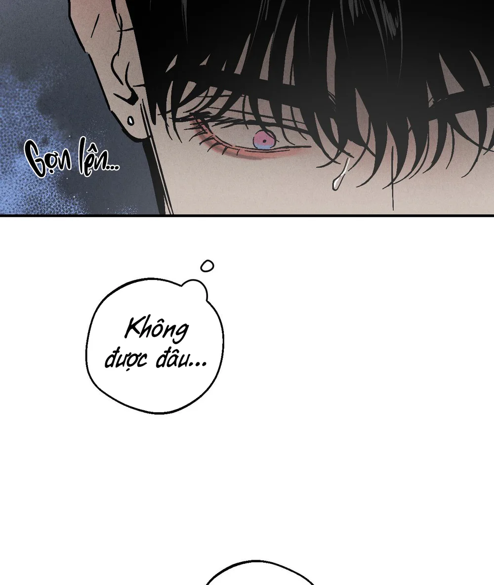 Đọc truyện Bí Mật XX - Chapter 5