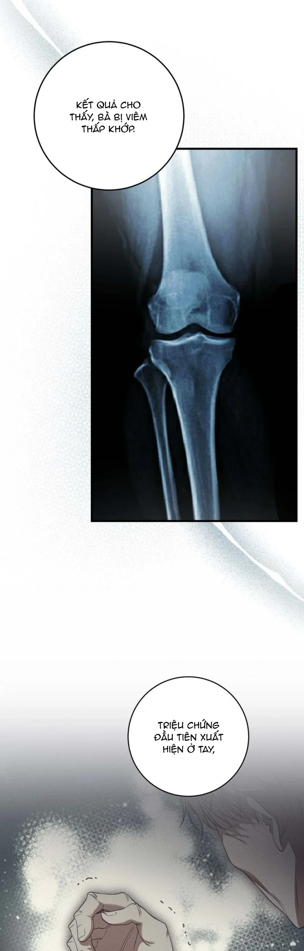 Đọc truyện Thợ Săn Chỉ Muốn Ở Ẩn - Chapter 28