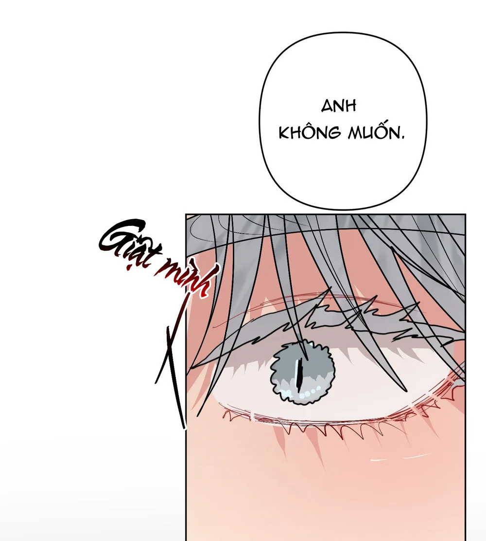 Đọc truyện (ABO) Peppermint Candy - Chapter 23