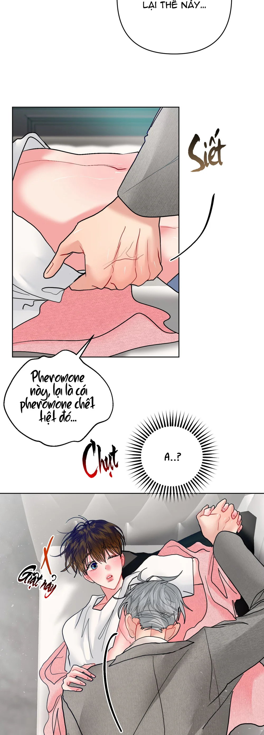 Đọc truyện (ABO) Peppermint Candy - Chapter 23