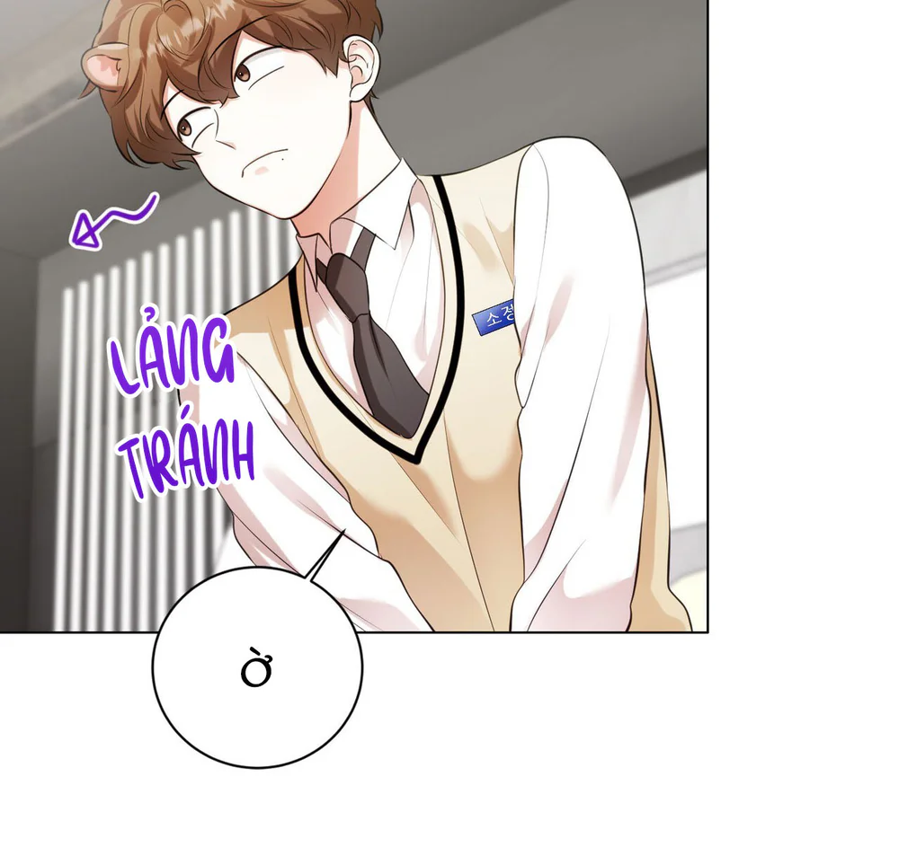 Đọc truyện Cảnh Báo Thú Săn Mồi - Chapter 14