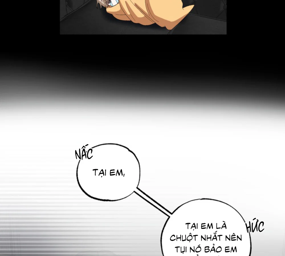 Đọc truyện XIN HÃY YÊU THƯƠNG DÙ TÔI LÀ CHUỘT - Chapter 21