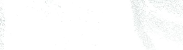 Đọc truyện (ABO) KẺ VÔ LẠI - Chapter 32