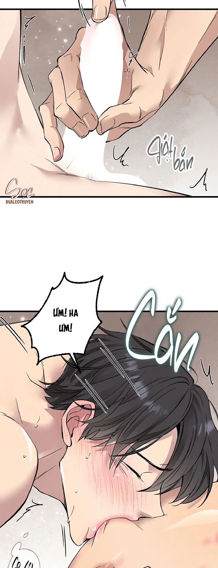 Đọc truyện HONEY BEAR - Chapter 87
