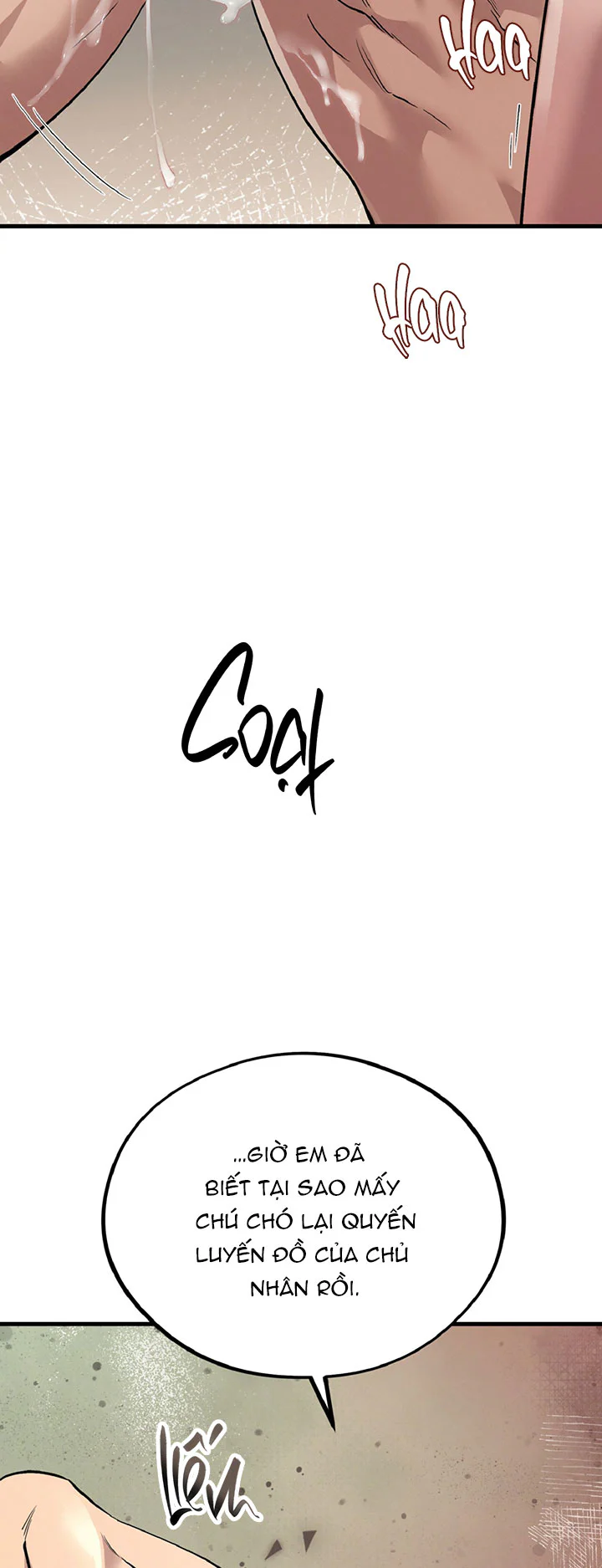 Đọc truyện HONEY BEAR - Chapter 87