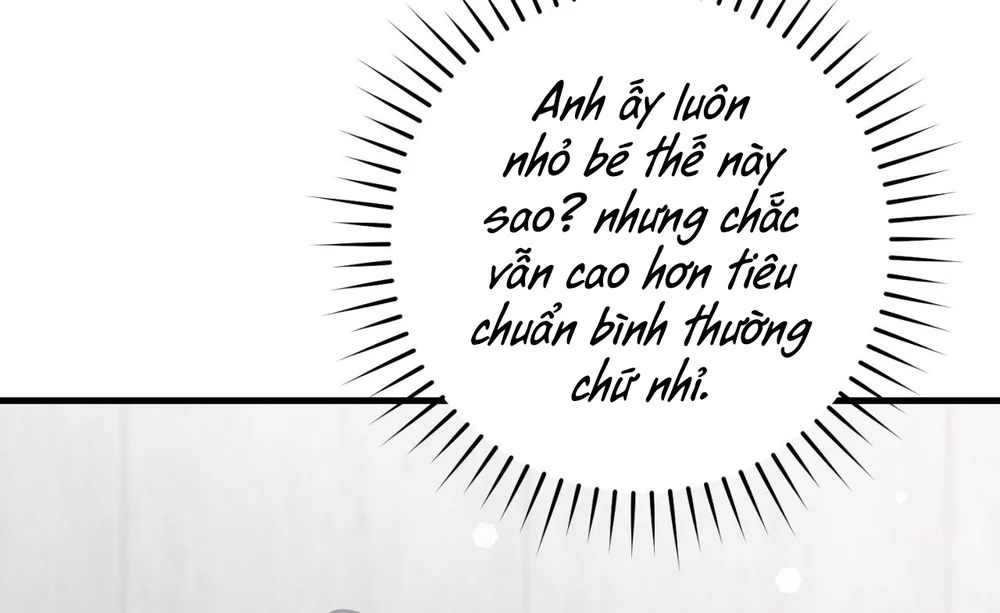 Đọc truyện Thợ Săn Chỉ Muốn Ở Ẩn - Chapter 33