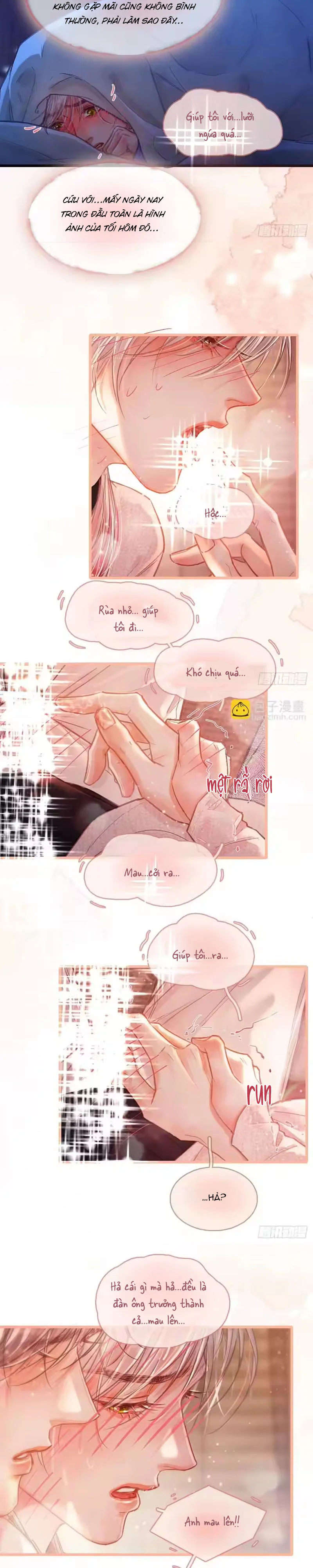 Đọc truyện Quen Lâu Mới Biết Người Thiếu Tâm Cơ - Chapter 71