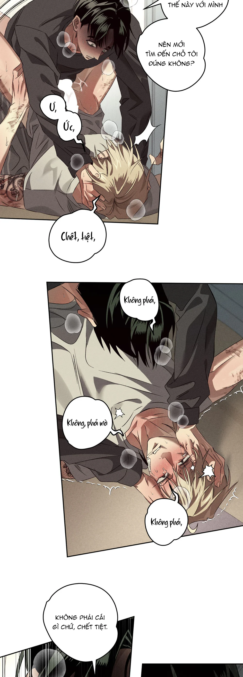 Đọc truyện ANH EM TƯƠNG TÀN - Chapter 12