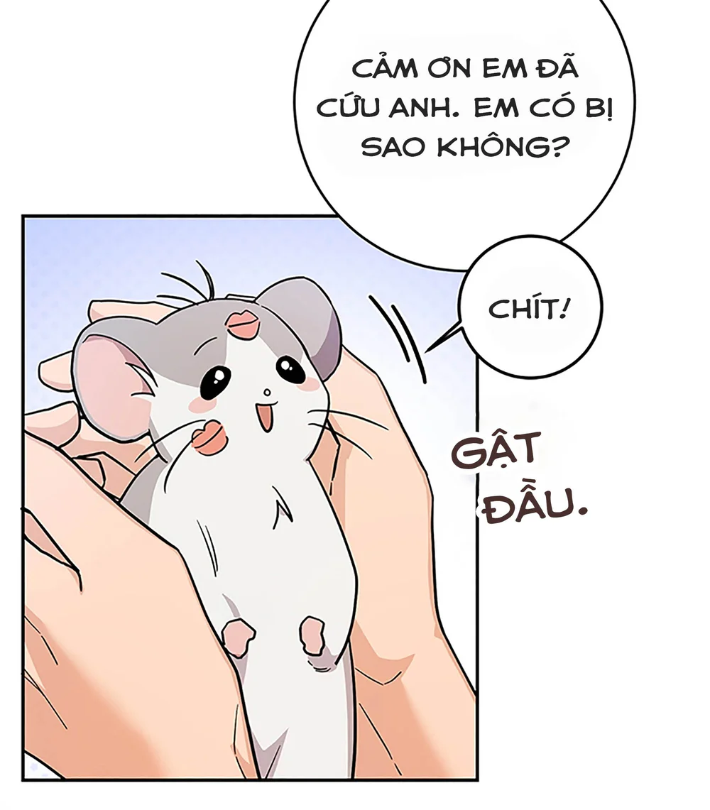 Đọc truyện Chú Chuột Của Tôi Là Người Thức Tỉnh Cấp S - Chapter 3