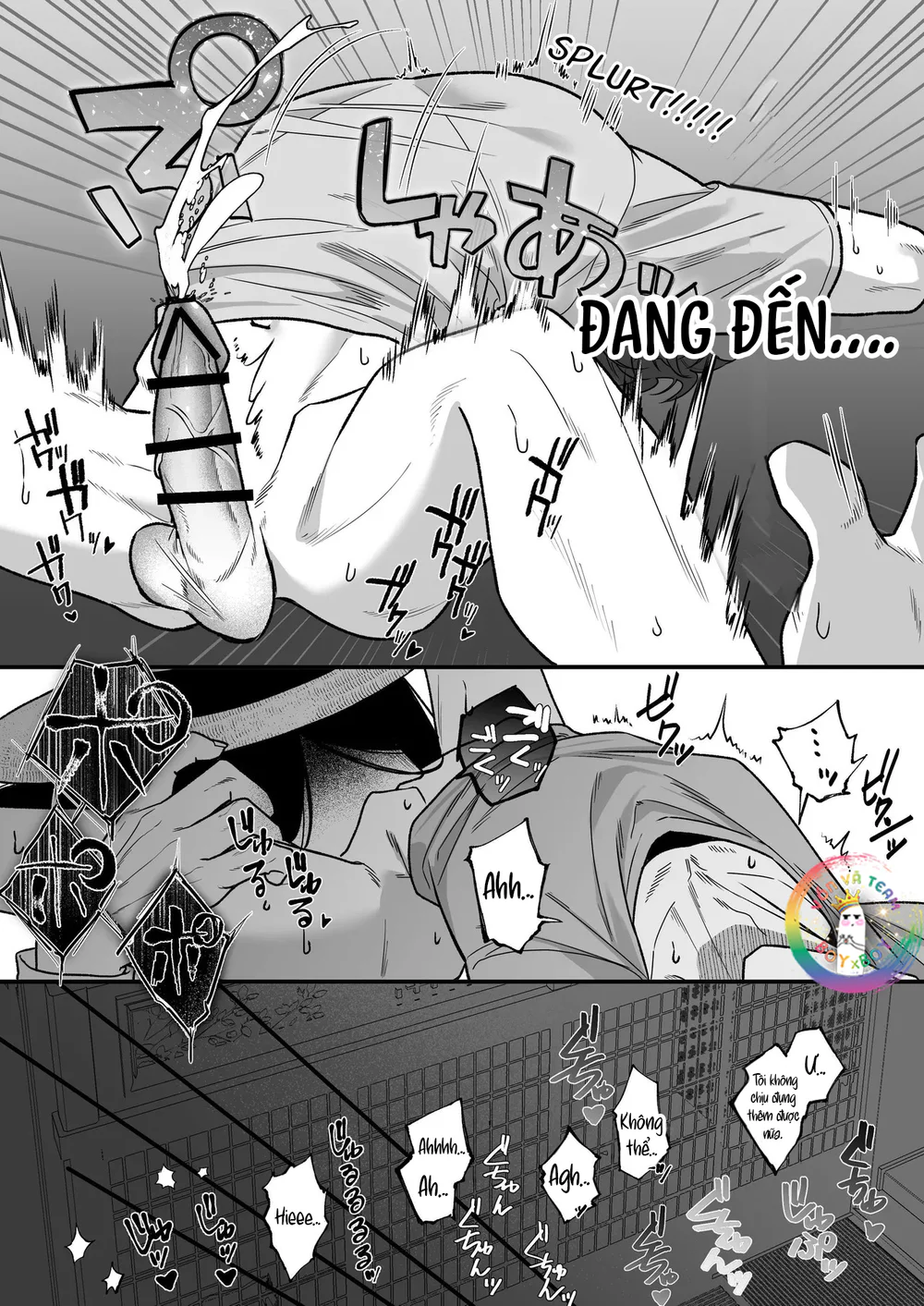 Đọc truyện XÉ TÚI MÙ - Chapter 17 Túi grape