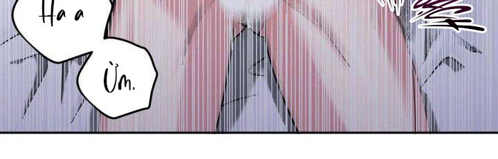 Đọc truyện Yêu Hay Kết Hôn - Chapter 3