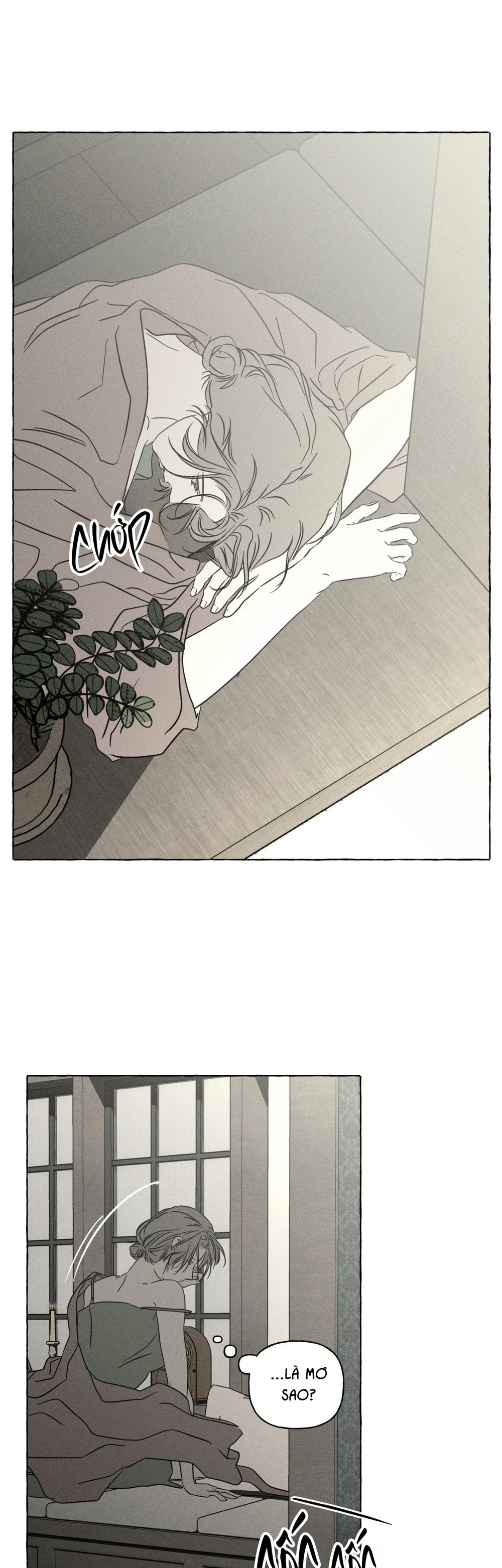 Đọc truyện XƯƠNG VÀ CÁNH HOA - Chapter 71