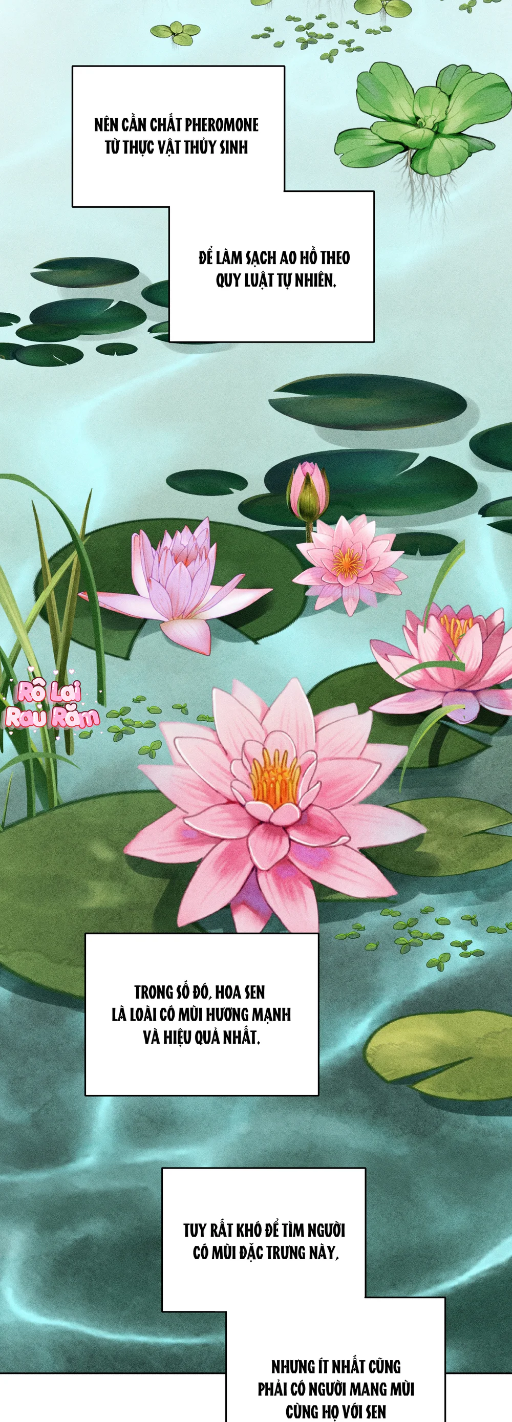 Đọc truyện  Đầm Hoa Sen - Chapter 65